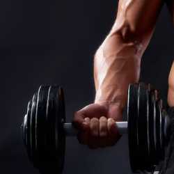 Fitness Merkezleri